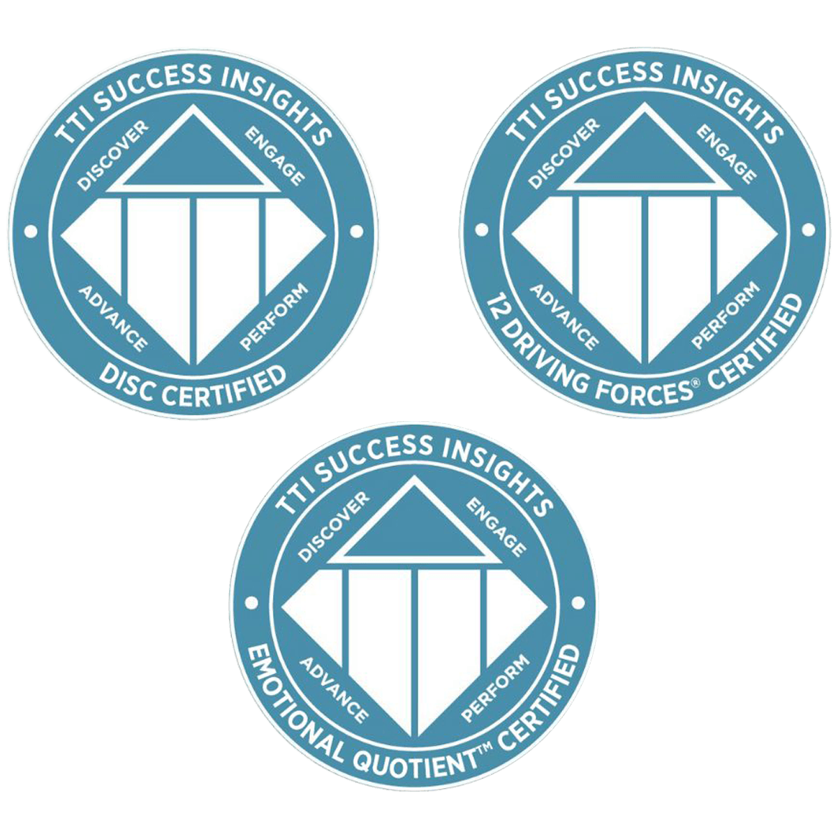 TTI Success Insights accreditation